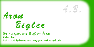 aron bigler business card